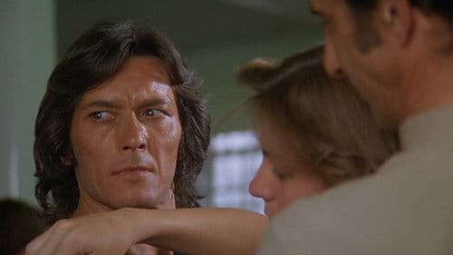 Fighter Gang - Sie kämpfen bis zum Ende Bild 6