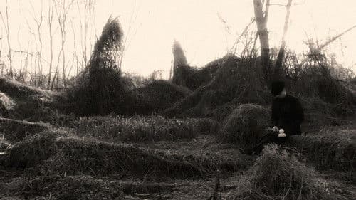 Quiéreme Mucho Bild 2