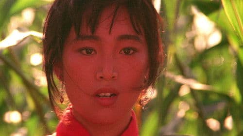 Rotes Kornfeld Bild 6