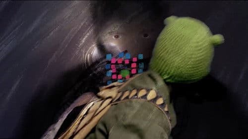 A Spot for Frog Bild 2