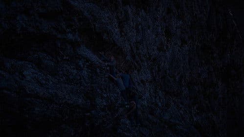 Безумные подражатели Bild 1