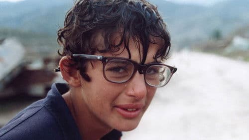 Schildkröten können fliegen Bild 4