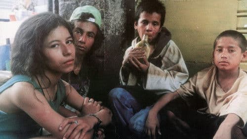 La vendedora de rosas Bild 2