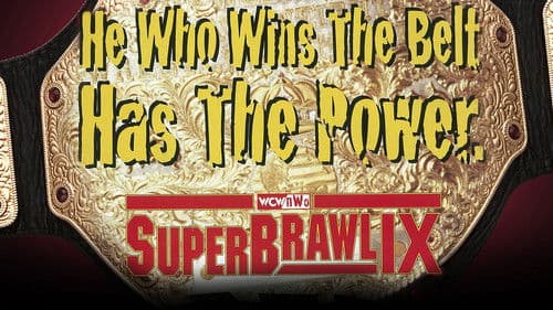 WCW SuperBrawl IX Bild 2