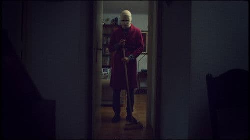 Tigre Místico Bild 5