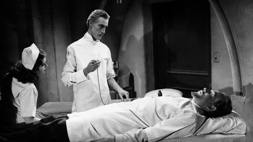 Draculas Haus Bild 4