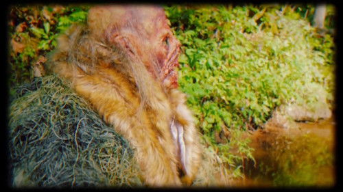 Bigfoot's Bride Bild 3