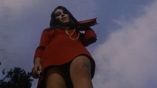 Vier Mal heute Nacht Bild 3