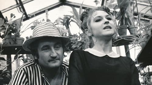 Námluvy komtesy Gladioly aneb Přistání ve skleníku Bild 3