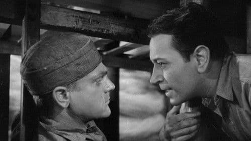 Todesangst bei jeder Dämmerung Bild 5