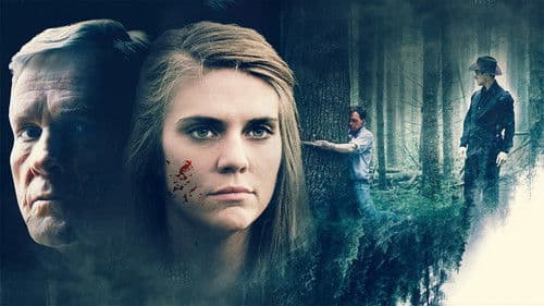 Alice Fades Away Bild 5