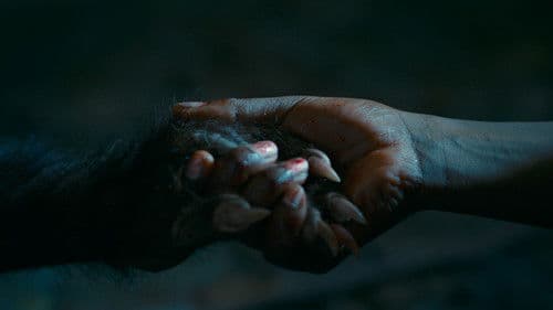 Gute Manieren Bild 2