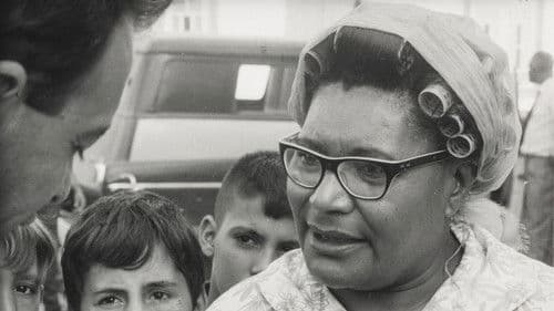 Auto de Vitória Bild 2