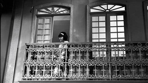 Rosinha do Sobrado Bild 1