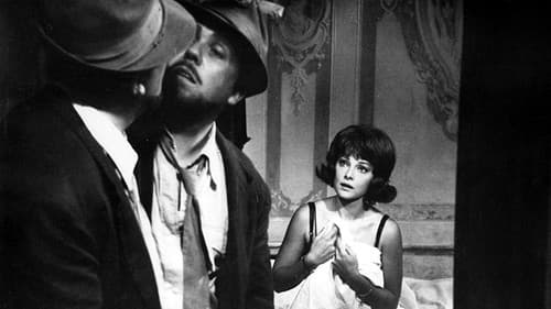 Aber, aber, meine Herren… Bild 3