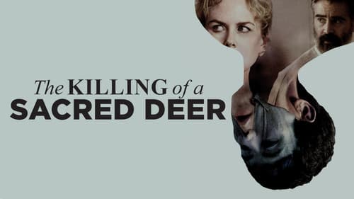 The Killing of a Sacred Deer Bild 5