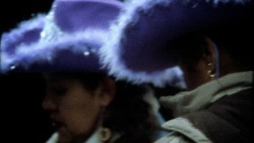 Bang Bang Stefi! Bild 3