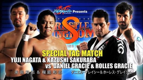 NJPW Wrestle Kingdom 8 Bild 8