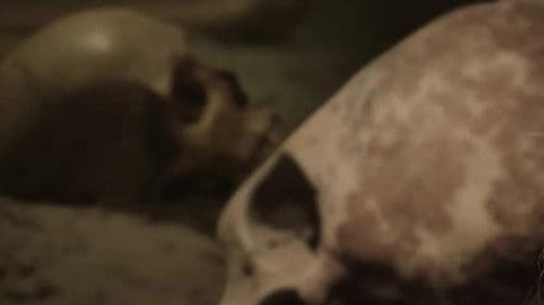 Danmarkshistorien på vrangen Bild 3