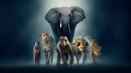 Wilde Dynastien: Die Clans der Tiere Bild 5