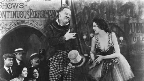 Sally of the Sawdust Bild 1