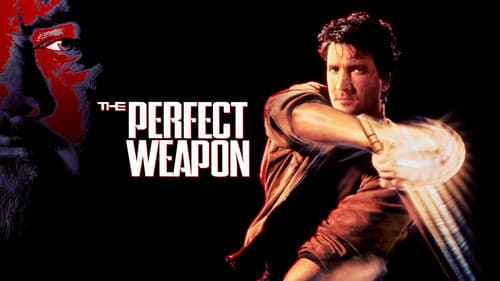 Eine perfekte Waffe Bild 1