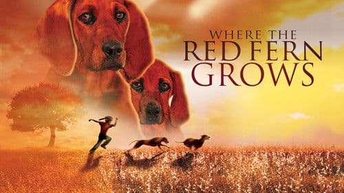 Wo der rote Farn wächst Bild 4