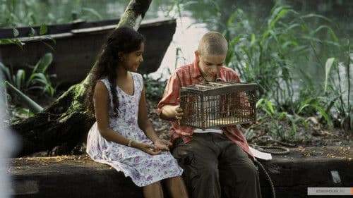 Das Geheimnis des blauen Schmetterlings Bild 1