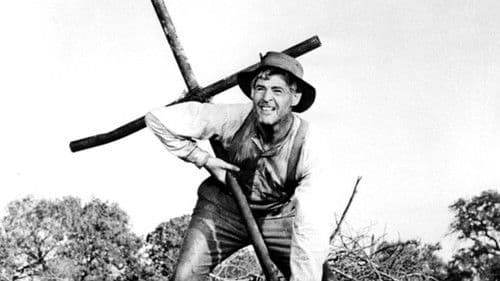 Gottes kleiner Acker Bild 3