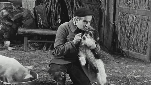 Fisch oder Fleisch Bild 3