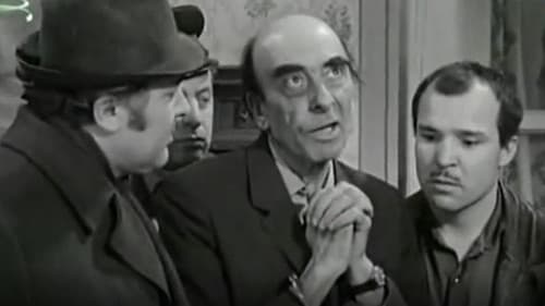 Fekete macska Bild 2