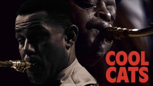 Cool Cats Bild 1