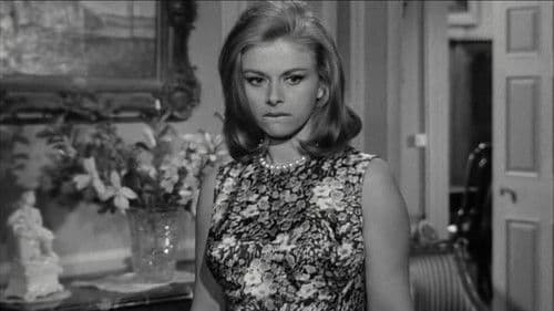 Relaxe-toi chérie Bild 5