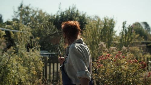 Wandelröschen Bild 1