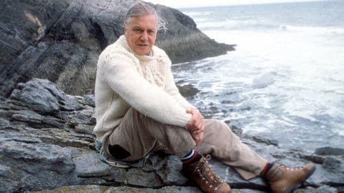 The Trials of Life Bild 1