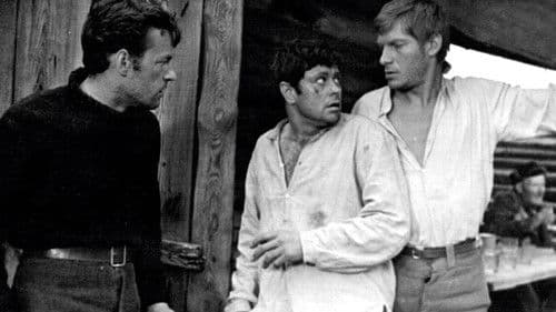 Niekas nenorėjo mirti Bild 2