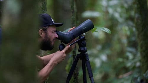 Arjan's Big Year Bild 1