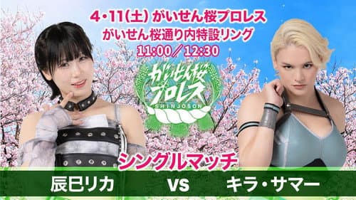 がいせん桜プロレス Bild 6
