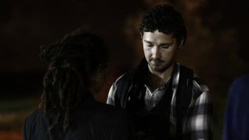 American Honey Bild 6