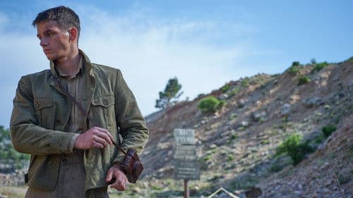 Czerwone maki Bild 5