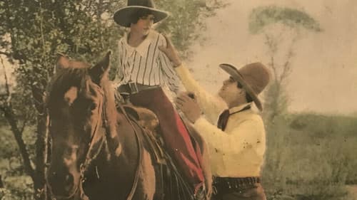 Hurricane Hal Bild 1