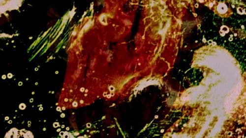 Delicacies of Molten Horror Synapse Bild 2