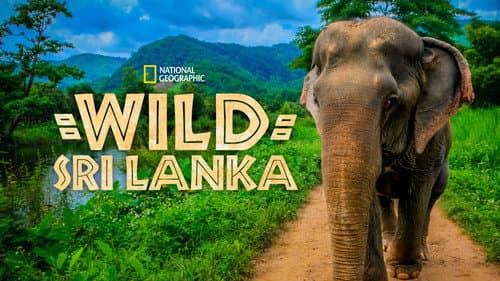Wildes Sri Lanka Bild 4