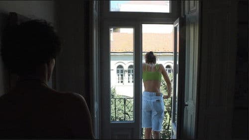 Morreram as Vacas e Ficaram os Bois Bild 1