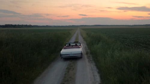 Green Frog Cafe Bild 1