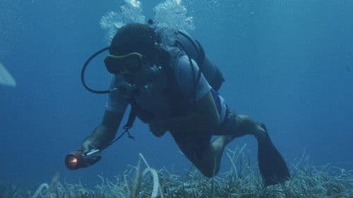 Shakka - Die Bestie aus der Tiefe Bild 2