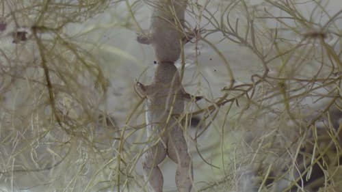 Sliktie dzīvnieki Bild 1