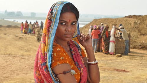 গাঙ্গর Bild 5