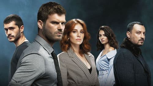 Çarpışma Bild 8