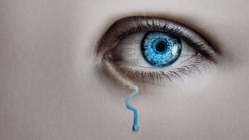 The Artifice Girl - Sie ist nicht real Bild 1